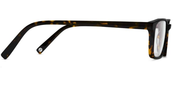 Side View Image of Crane Eyeglasses Collection, by Warby Parker Brand, in Whiskey Tortoise Color