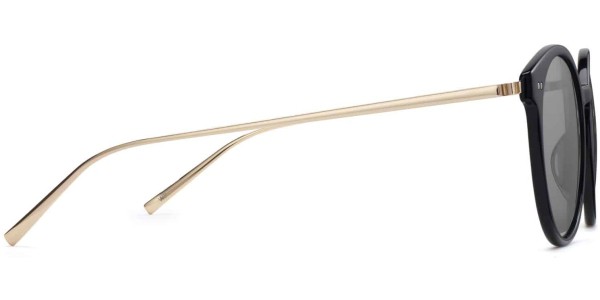 Side View Image of Langley Sunglasses Collection, by Warby Parker Brand, in Jet Black with Polished Gold Color
