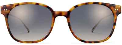 Front View Image of Tilden Sunglasses Collection, by Warby Parker Brand, in Acorn Tortoise with Polished Gold Color
