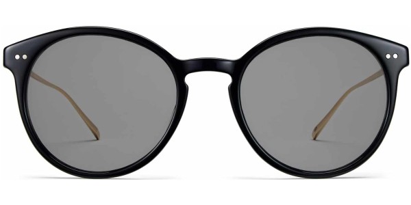 Front View Image of Langley Sunglasses Collection, by Warby Parker Brand, in Jet Black with Polished Gold Color