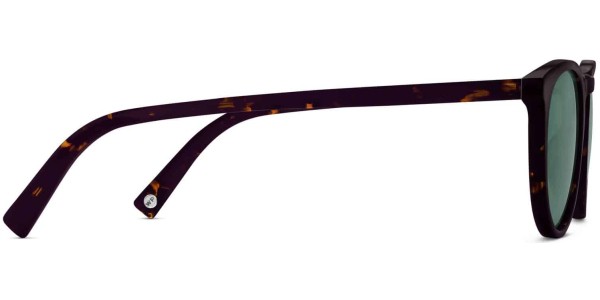Side View Image of Haskell Sunglasses Collection, by Warby Parker Brand, in Whiskey Tortoise Color