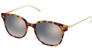 Angle View Image of Tilden Sunglasses Collection, by Warby Parker Brand, in Acorn Tortoise with Polished Gold Color