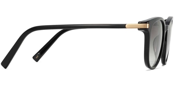 Side View Image of Durand Sunglasses Collection, by Warby Parker Brand, in Jet Black with Gold Color
