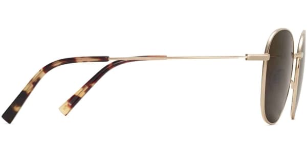 Side View Image of Cyrus Sunglasses Collection, by Warby Parker Brand, in Polished Gold Color