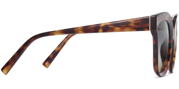 Side View Image of Ada Sunglasses Collection, by Warby Parker Brand, in Acon Tortoise Color