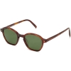 Angle View Image of Britten Sunglasses Collection, by Warby Parker Brand, in Amber Tortoise Color
