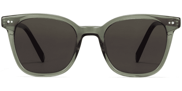 Front View Image of Griffin Sunglasses Collection, by Warby Parker Brand, in Seaweed Crystal with Cognac Tortoise Color