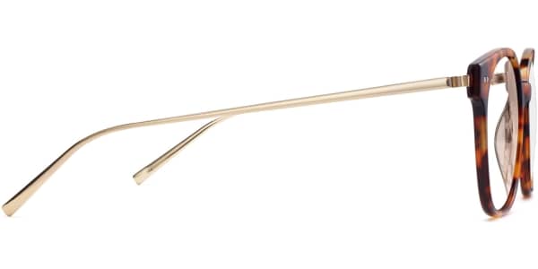 Side View Image of Tilden Eyeglasses Collection, by Warby Parker Brand, in Acorn Tortoise with Polished Gold Color