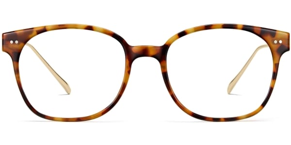 Front View Image of Tilden Eyeglasses Collection, by Warby Parker Brand, in Acorn Tortoise with Polished Gold Color