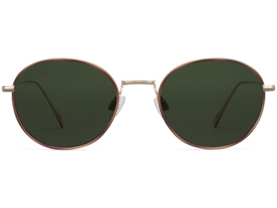 Front View Image of Colvin Sunglasses Collection, by Warby Parker Brand, in Polished Gold with Savanna Tortoise Color