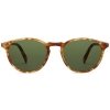 Front View Image of Butler Sunglasses Collection, by Warby Parker Brand, in Butterscotch Tortoise Color Front View Image of Butler Sunglasses Collection, by Warby Parker Brand, in Butterscotch Tortoise Color